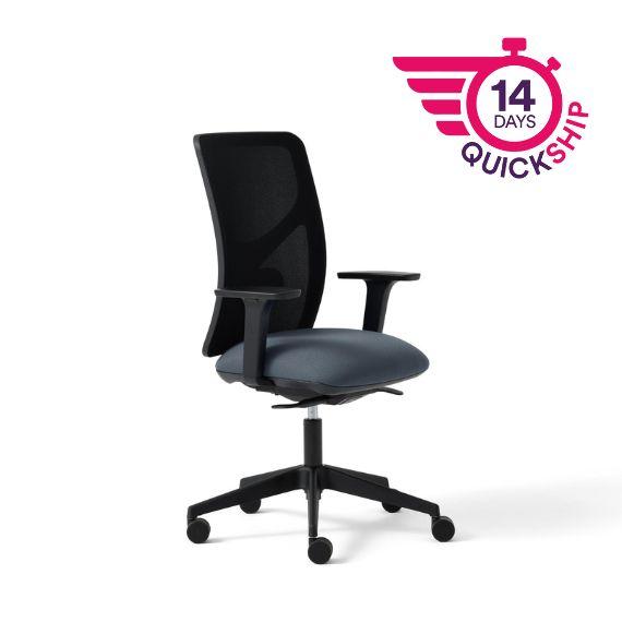 Pluto Plus Mesh Task Chair, Synchronised Mechanism
