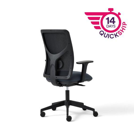 Pluto Plus Mesh Task Chair, Synchronised Mechanism