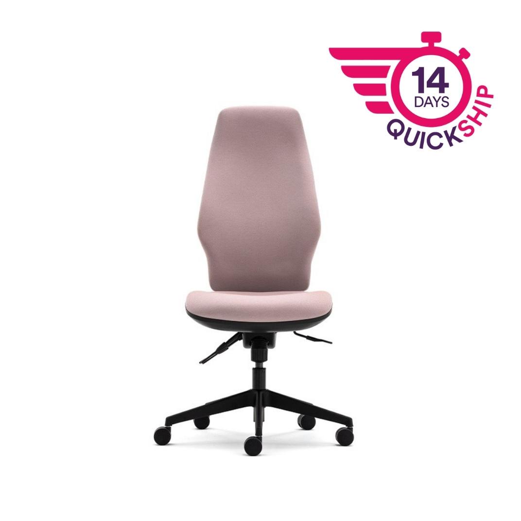 Orthopaedica 300 Series Synchronised Mechanism Task Chair