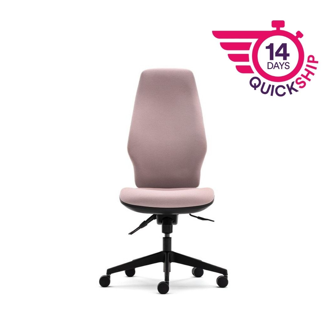 Orthopaedica 300 Series Synchronised Mechanism Task Chair